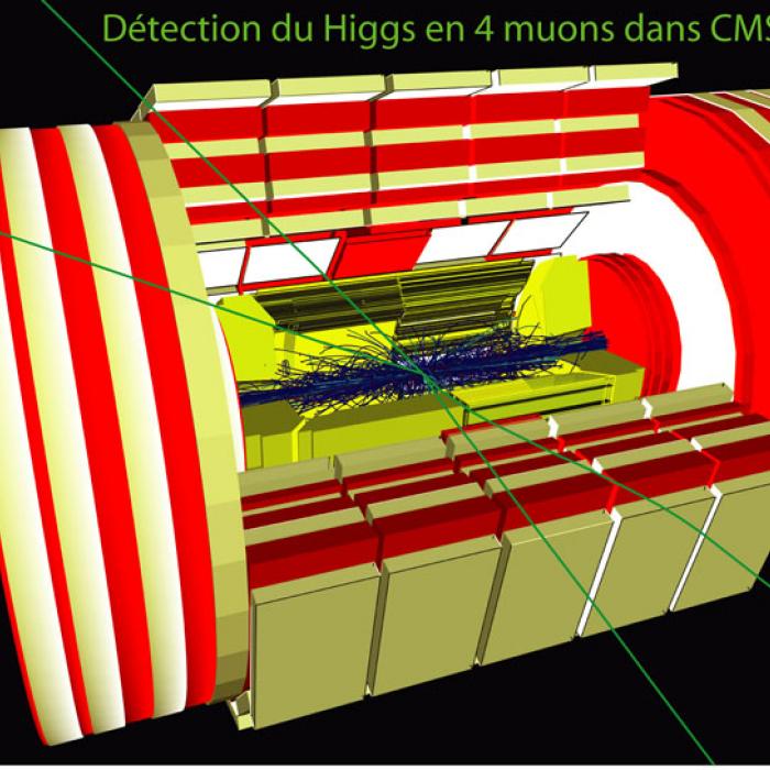 Simulated data modelled for the CMS detector